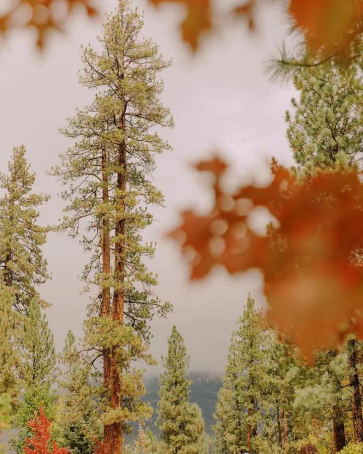 Colorado Lodge Big Bear Lake Zewnętrze zdjęcie